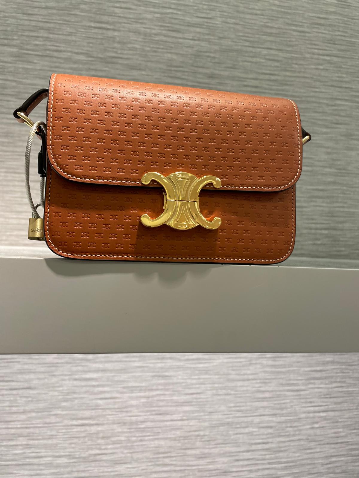Celine Triomphe brown leather bag with gold clasp